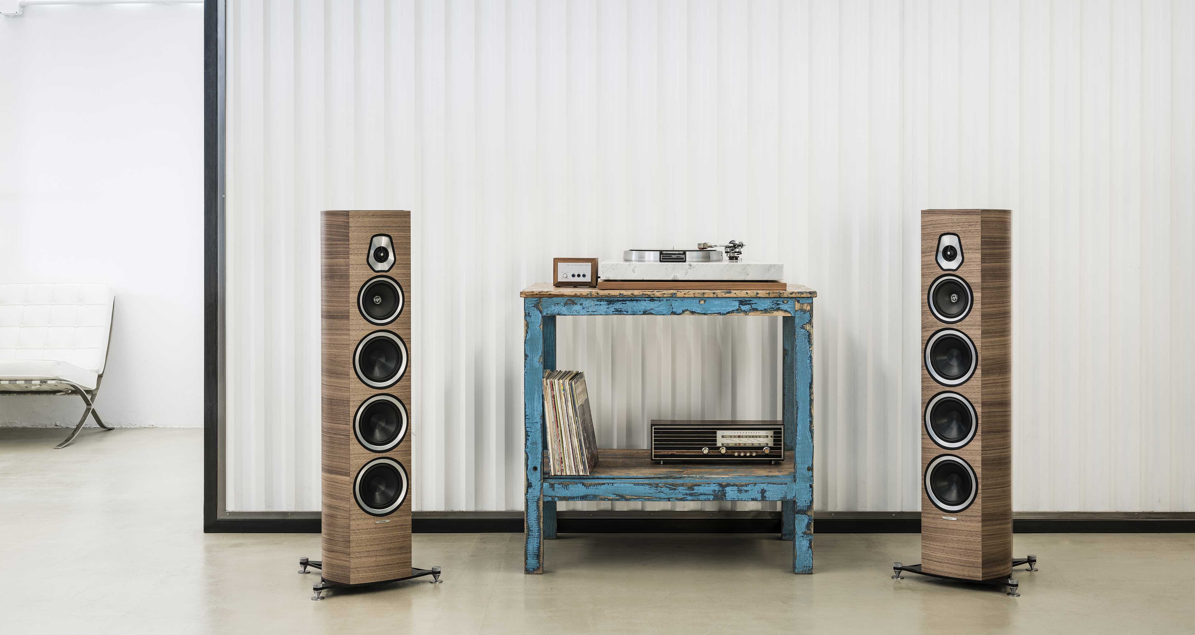 sonetto viii sonus faber