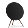 BEOSOUND A9 5th Gen