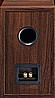 Tempus 33