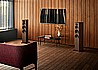 Focus 50 Dynaudio