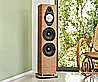 SONETTO VIII G2