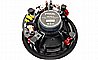 ICW8 100 FOCAL