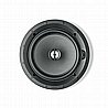 ICW8 100 FOCAL