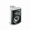 OD6 100 FOCAL