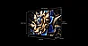 115X955 TCL