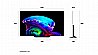 65CS6VA LG OLED